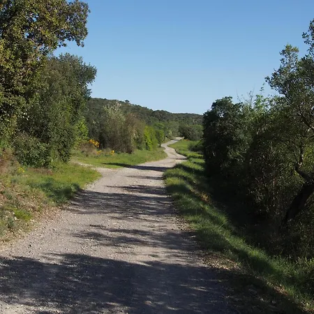Aux Cypres Du Sud : Et Montagne Willa