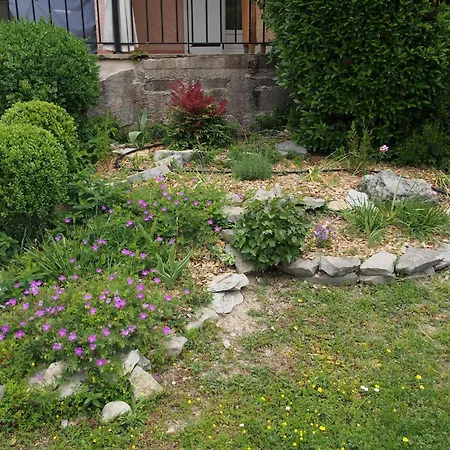 Aux Cypres Du Sud : Et Montagne Willa *