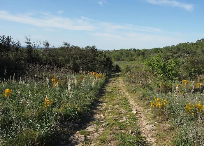 Aux Cyprès Du Sud : Et Montagne Villa *