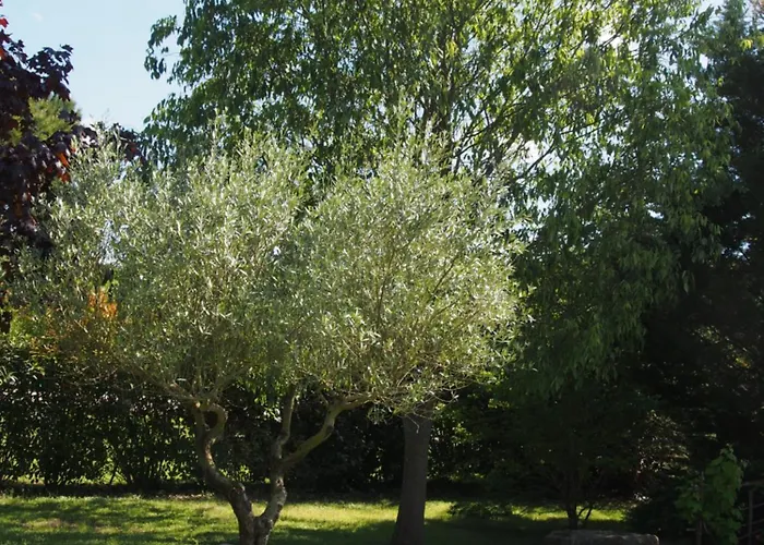 Villa Aux Cyprès Du Sud : Et Montagne *