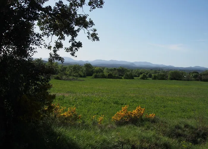 Aux Cyprès Du Sud : Et Montagne Logrian-et-Comiac-de-Florian