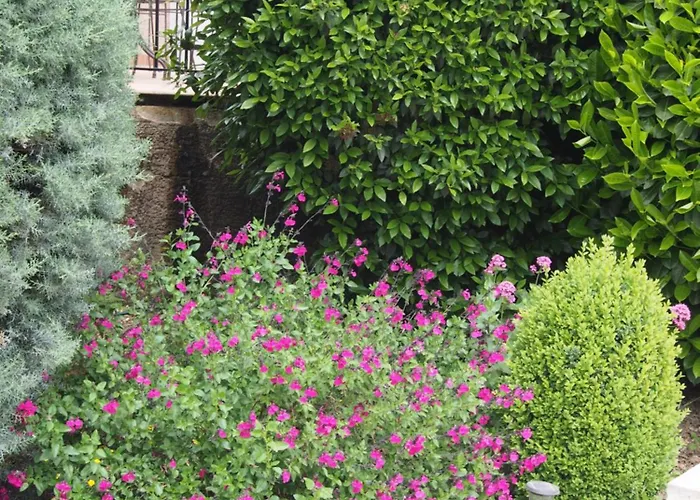 Aux Cyprès Du Sud : Et Montagne Villa *