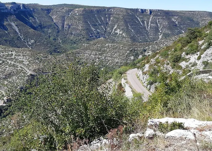 Aux Cypres Du Sud : Et Montagne * Logrian-et-Comiac-de-Florian