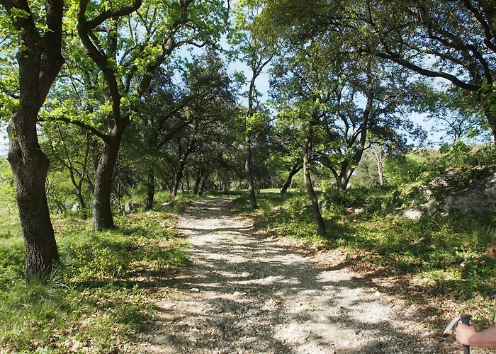 Aux Cyprès Du Sud : Et Montagne Villa