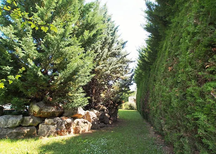 Aux Cyprès Du Sud : Et Montagne * Logrian-et-Comiac-de-Florian